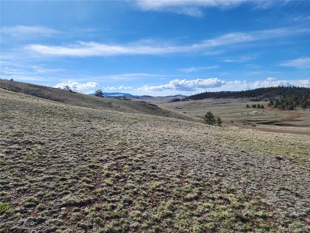 558 Chickadee Dr, Hartsel, CO 80449 - photo 5