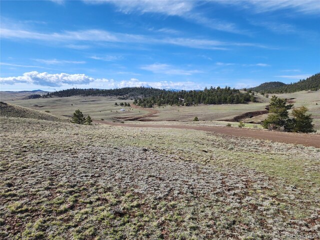 558 Chickadee Dr, Hartsel, CO 80449 - photo 6