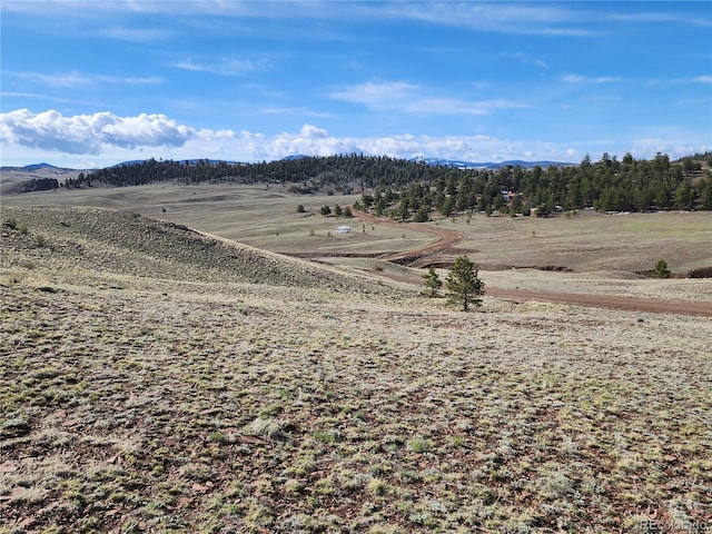 558 Chickadee Dr, Hartsel, CO 80449 - photo 9