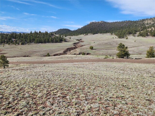 558 Chickadee Dr, Hartsel, CO 80449 - photo 10