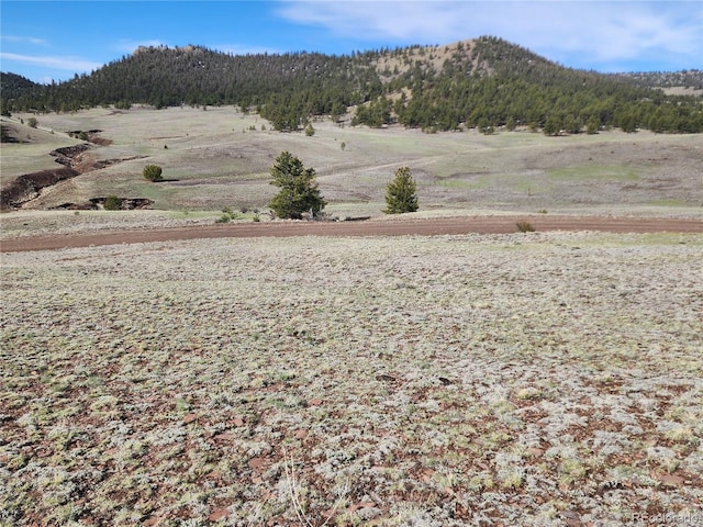 558 Chickadee Dr, Hartsel, CO 80449 - photo 11