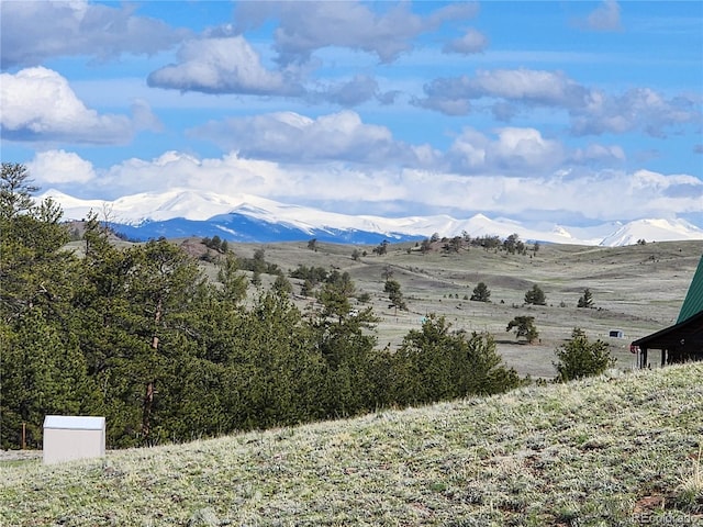 558 Chickadee Dr, Hartsel, CO 80449 - photo 13