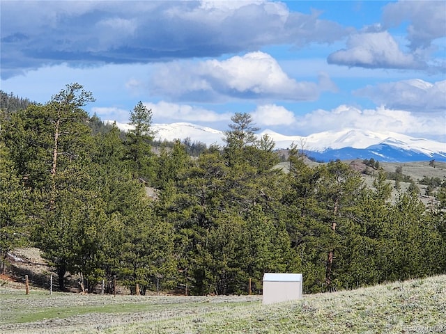 558 Chickadee Dr, Hartsel, CO 80449 - photo 14