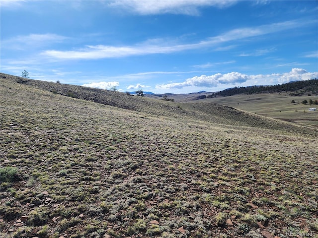 558 Chickadee Dr, Hartsel, CO 80449 - photo 15
