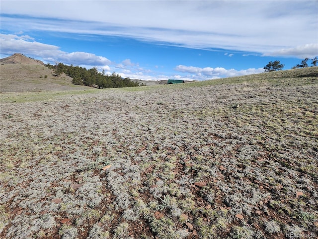 558 Chickadee Dr, Hartsel, CO 80449 - photo 16