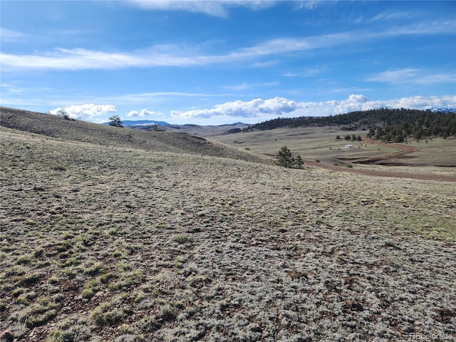 558 Chickadee Dr, Hartsel, CO 80449 - photo 17
