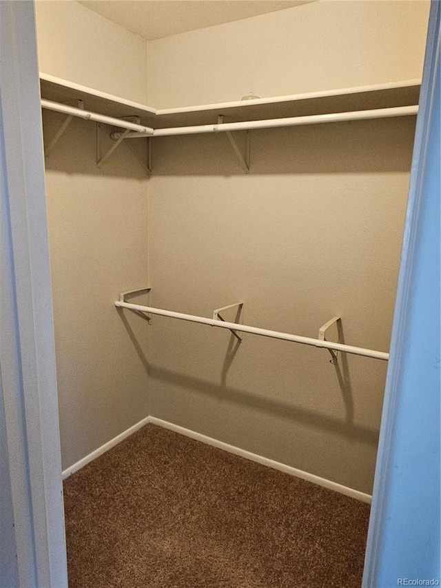 880 Orion Dr, Lafayette, CO 80026 - spacious closet featuring carpet floors