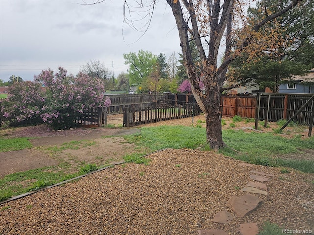 880 Orion Dr, Lafayette, CO 80026 - view of yard
