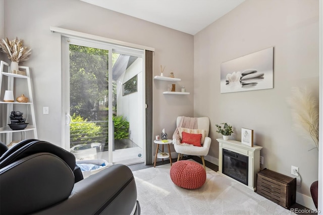 2898 W 22nd Ave, Denver, CO 80211 - sitting room featuring a glass covered fireplace