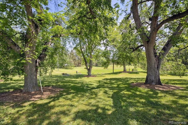 2898 W 22nd Ave, Denver, CO 80211 - view of grassy yard with view of scattered trees
