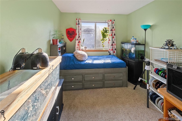 4363 E Andover Ave, Castle Rock, CO 80104 - view of carpeted bedroom