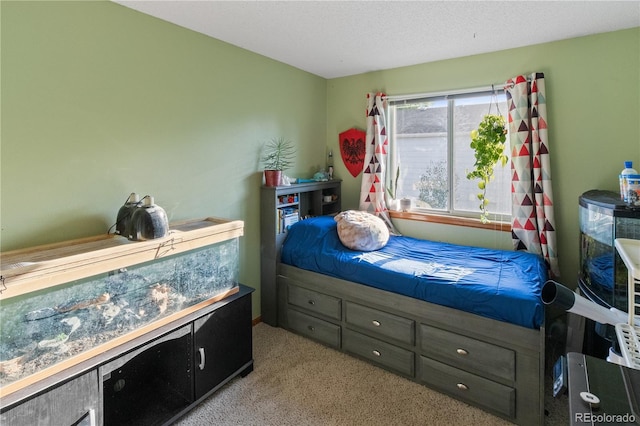 4363 E Andover Ave, Castle Rock, CO 80104 - bedroom featuring light colored carpet