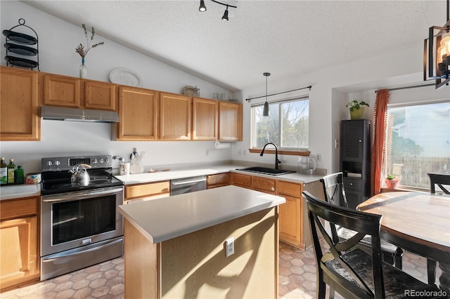 4363 E Andover Ave, Castle Rock, CO 80104 - kitchen featuring stainless steel appliances, under cabinet range hood, a textured ceiling, light countertops, and lofted ceiling