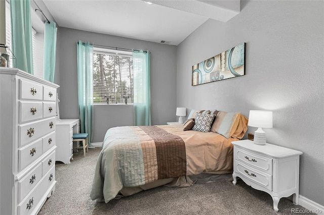 171 Columbine St, Larkspur, CO 80118 - carpeted bedroom with baseboards
