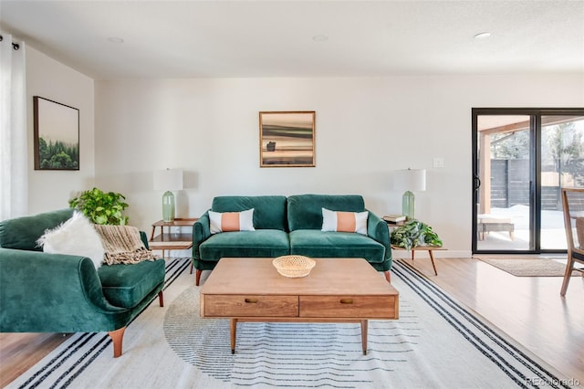 living room featuring light hardwood / wood-style floors