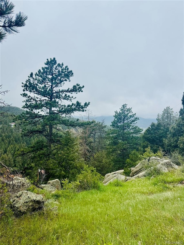 1234 Wild Flower Trl, Evergreen, CO 80437 - photo 2