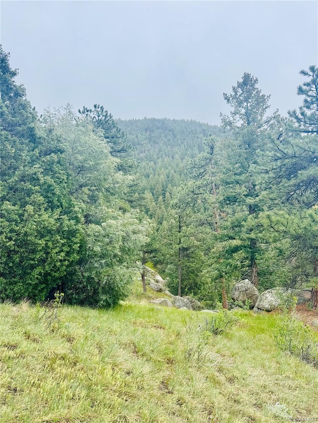 1234 Wild Flower Trl, Evergreen, CO 80437 - photo 3