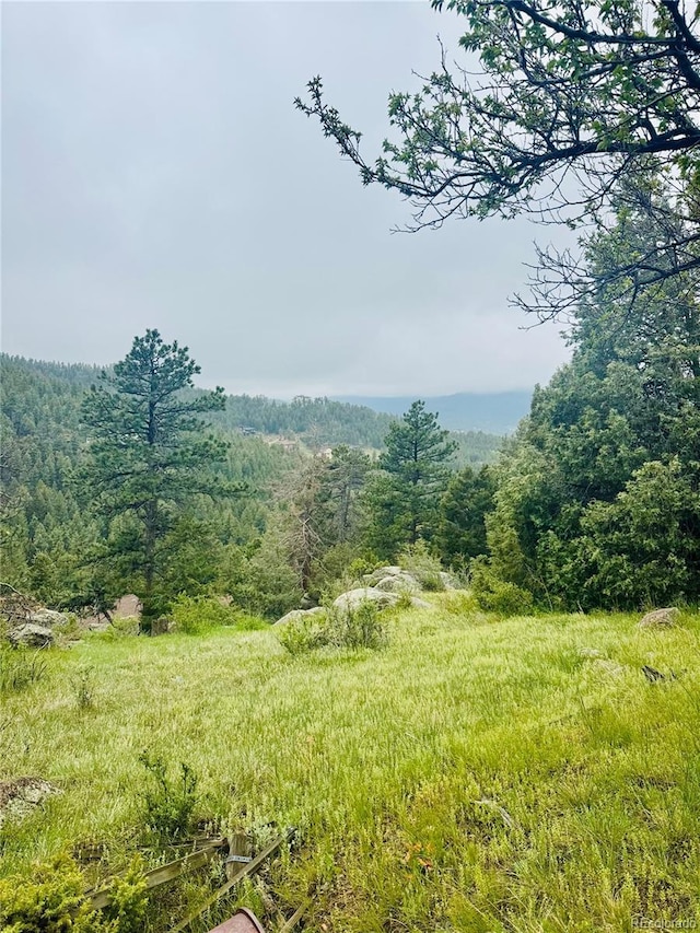 1234 Wild Flower Trl, Evergreen, CO 80437 - photo 1