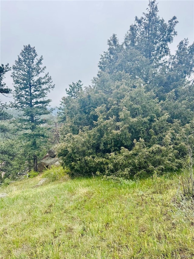 1234 Wild Flower Trl, Evergreen, CO 80437 - photo 4
