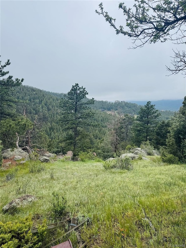 1234 Wild Flower Trl, Evergreen, CO 80437 - photo 6
