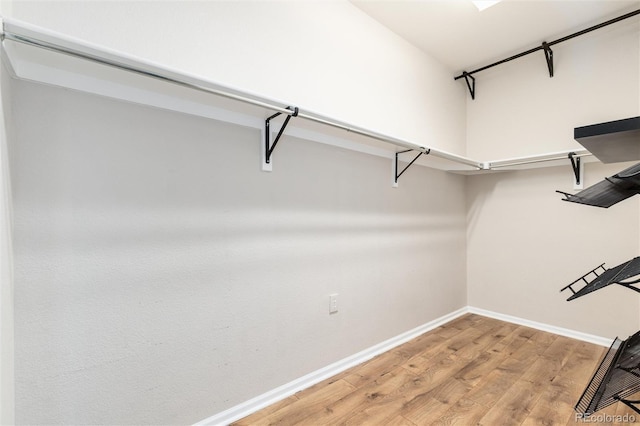 spacious closet featuring light wood-style flooring