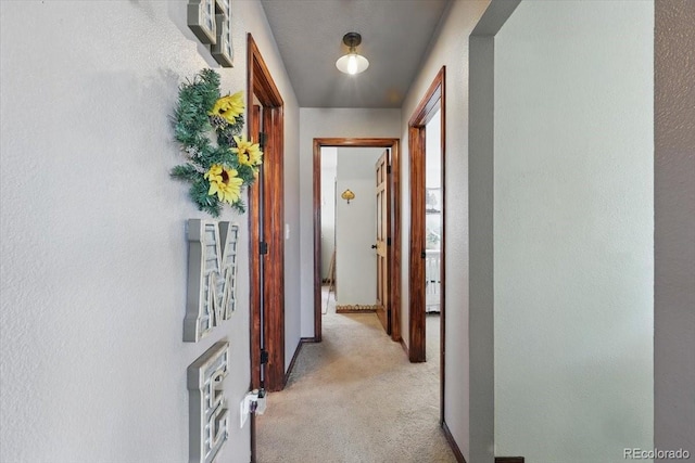 1184 Bennett Dr, Cripple Creek, CO 80813 - photo 10