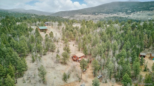 1184 Bennett Dr, Cripple Creek, CO 80813 - photo 35