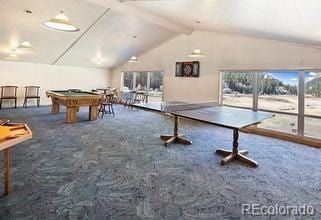 1184 Bennett Dr, Cripple Creek, CO 80813 - photo 39