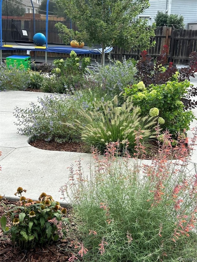 view of yard with a trampoline