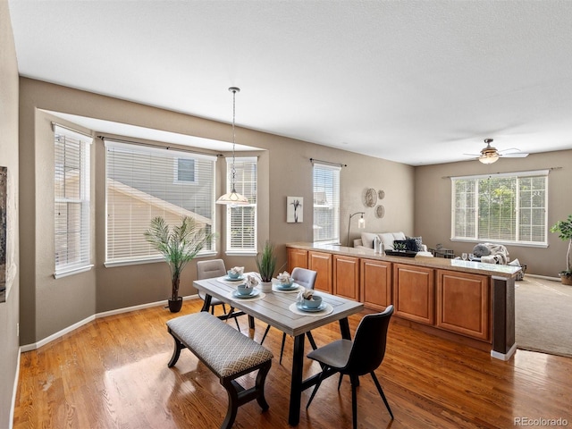 3853 S Malta St, Aurora, CO 80013 - dining room featuring healthy amount of natural light, light wood finished floors, and baseboards