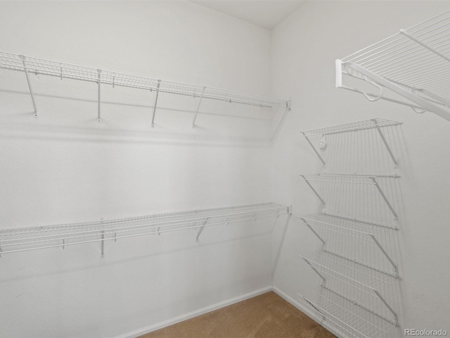 3853 S Malta St, Aurora, CO 80013 - walk in closet with carpet flooring