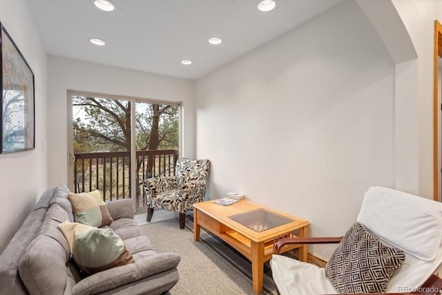 4236 Tranquil Way, Crestone, CO 81131 - living room with recessed lighting and carpet