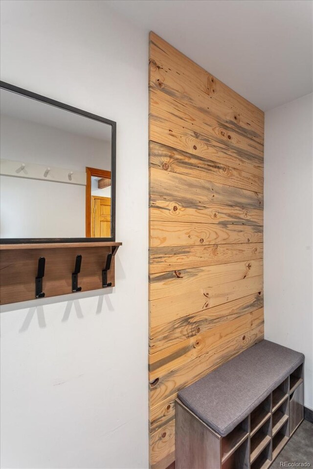 4236 Tranquil Way, Crestone, CO 81131 - view of mudroom