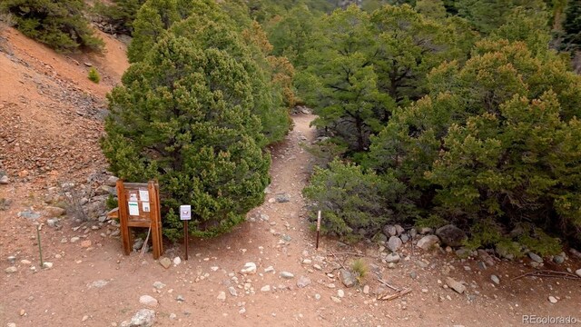 4236 Tranquil Way, Crestone, CO 81131 - bird's eye view with a wooded view