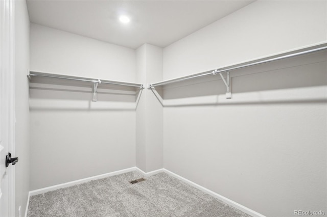 walk in closet featuring carpet flooring