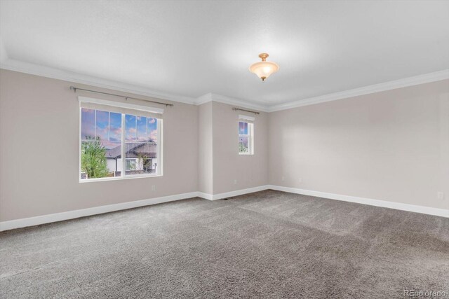 unfurnished room featuring ornamental molding, carpet, and baseboards