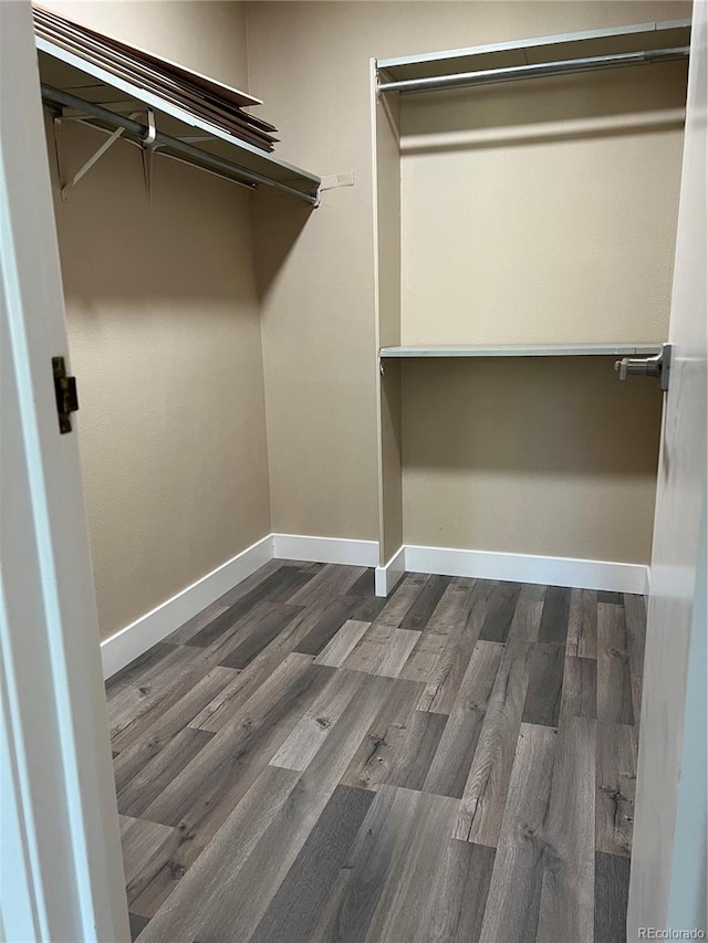 spacious closet featuring dark wood-type flooring