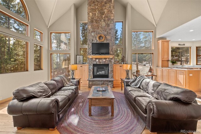 11421 Belle Meade Dr, Conifer, CO 80433 - photo 6