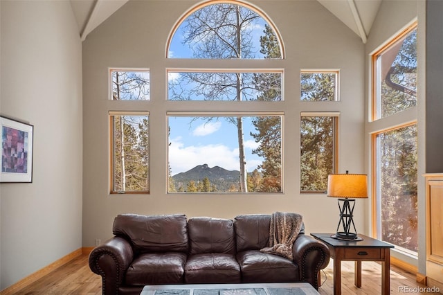 11421 Belle Meade Dr, Conifer, CO 80433 - photo 8