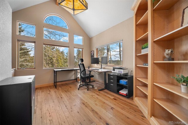 11421 Belle Meade Dr, Conifer, CO 80433 - photo 17