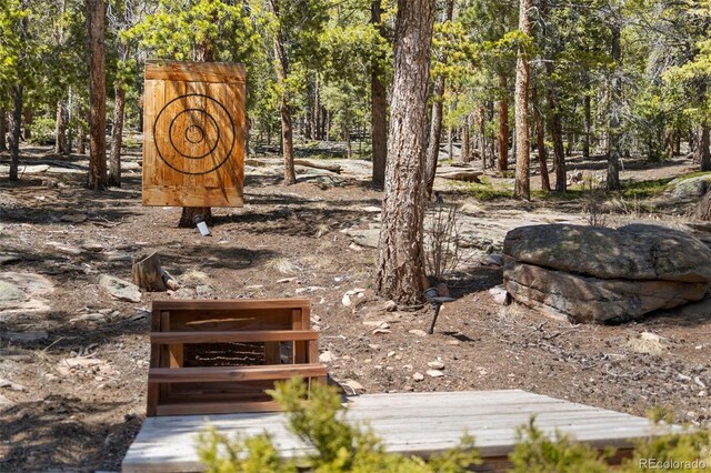 11421 Belle Meade Dr, Conifer, CO 80433 - photo 45
