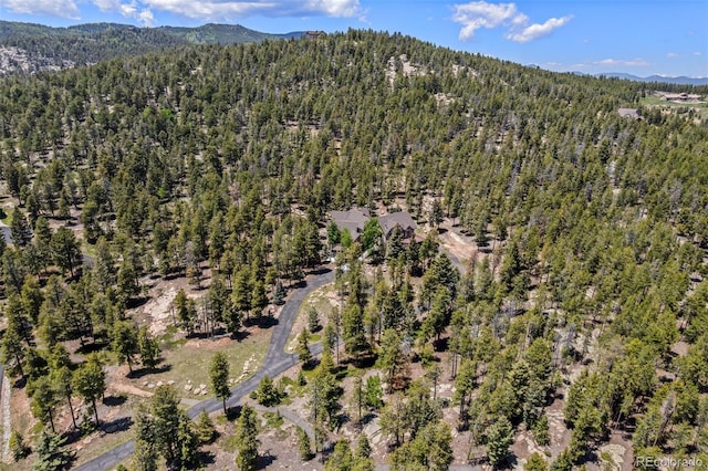 11421 Belle Meade Dr, Conifer, CO 80433 - photo 3