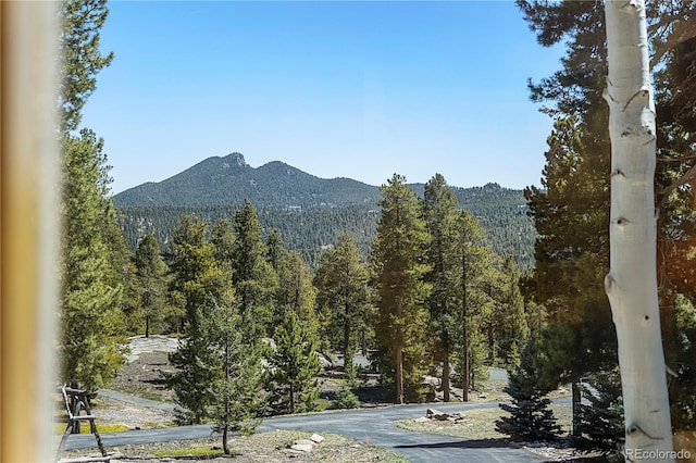 11421 Belle Meade Dr, Conifer, CO 80433 - photo 9