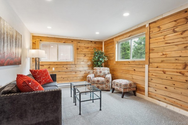 11457 Nancys Dr, Conifer, CO 80433 - carpeted living room with recessed lighting and wood walls