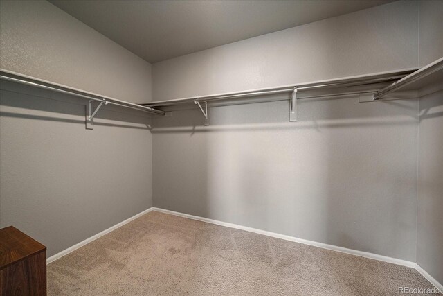 1181 W 170th Ave, Broomfield, CO 80023 - spacious closet with carpet