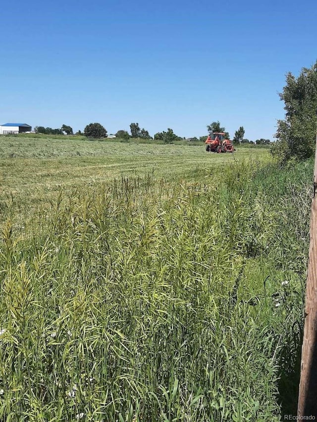 view of local wilderness featuring a rural view