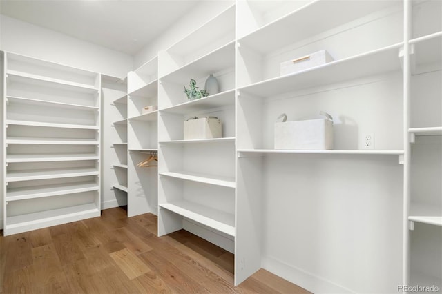 walk in closet featuring hardwood / wood-style flooring