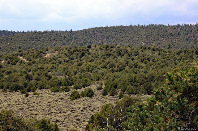 000 Whm Cyn, San Luis, CO 81152 - photo 26