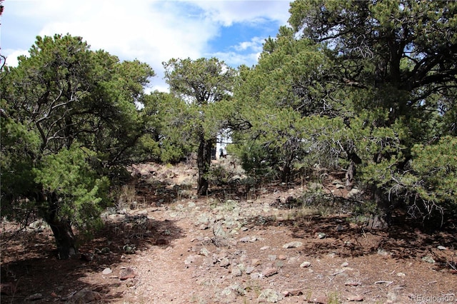 000 Whm Cyn, San Luis, CO 81152 - photo 32