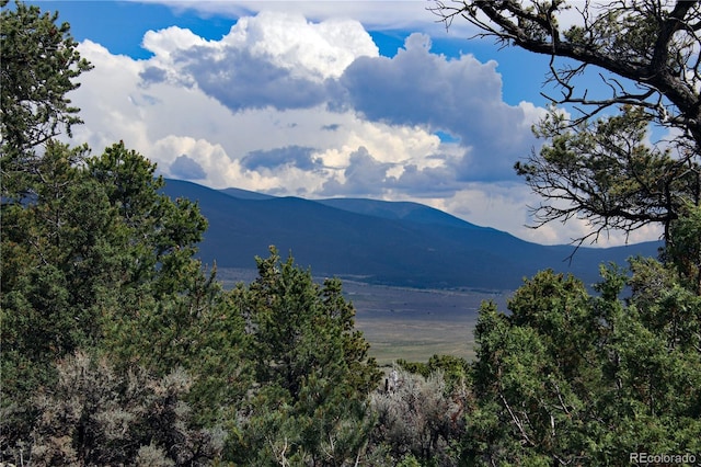 000 Whm Cyn, San Luis, CO 81152 - photo 34